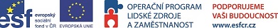 Evropský sociální fond v ČR